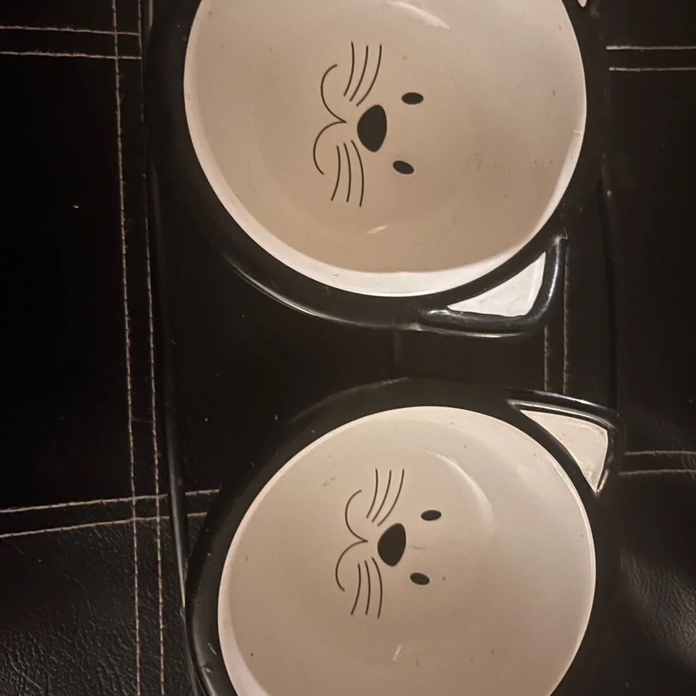 cat food and water bowls